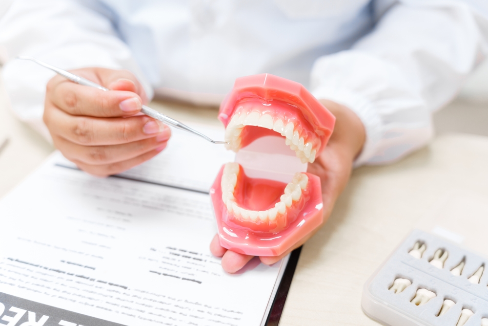 Güneydoğu Diş Deposu